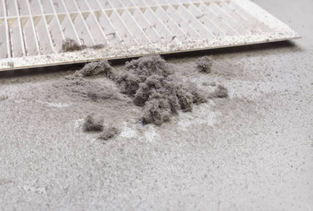 Best Ductwork Cleaning Services  in Barrington, IL