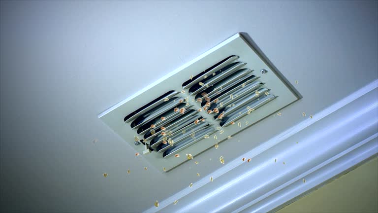 Best Residential Air Duct Cleaning  in Barrington, IL