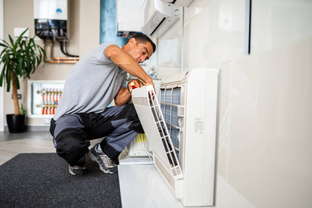 Best Air Duct Sanitizing Services  in Barrington, IL